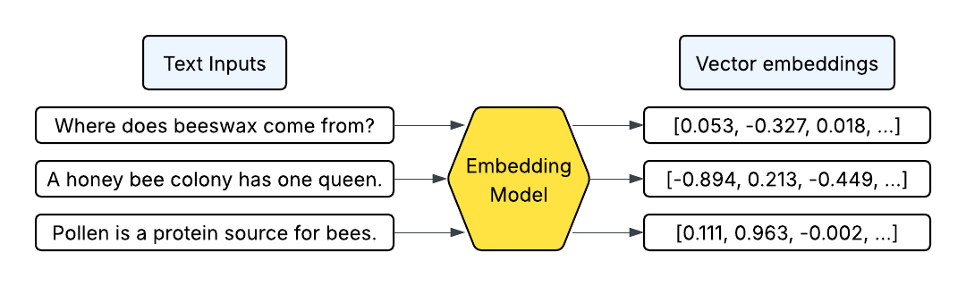 Vector embeddings